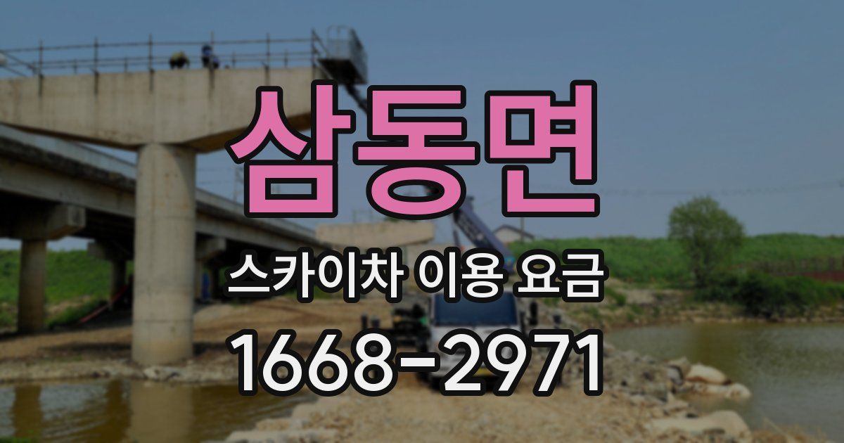 삼동면 스카이차 이용 요금