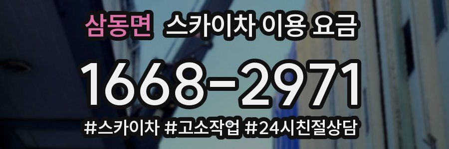 삼동면 스카이차 이용 요금