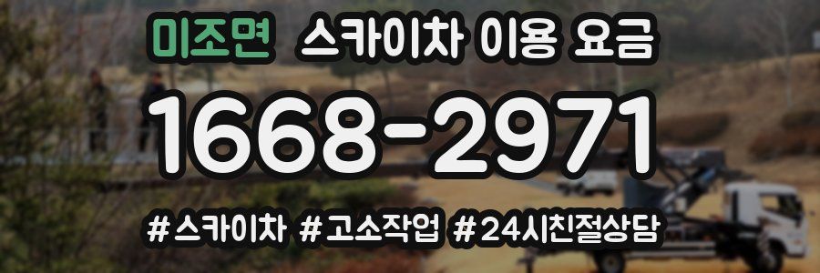 미조면 스카이차 이용 요금