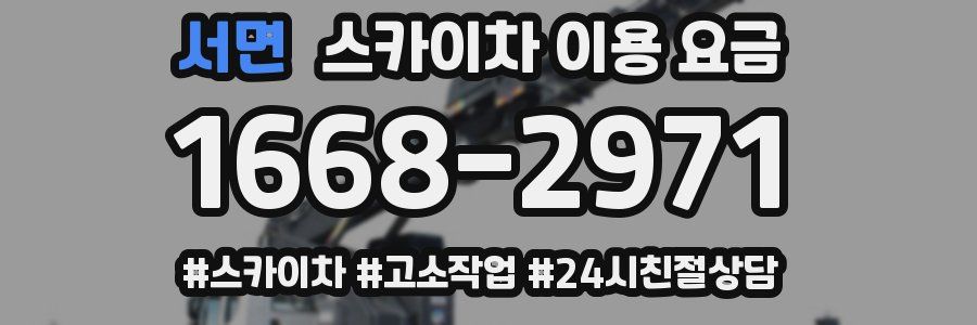 서면 스카이차 이용 요금