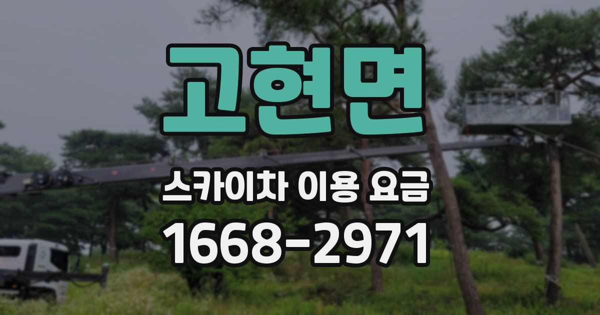 고현면 스카이차 이용 요금