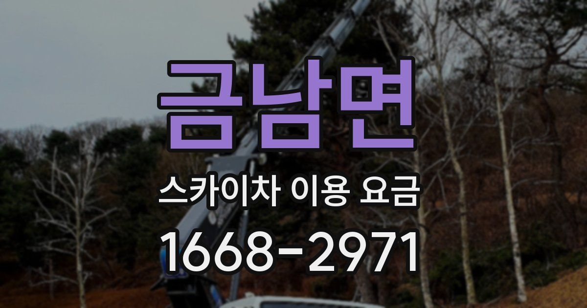 금남면 스카이차 이용 요금