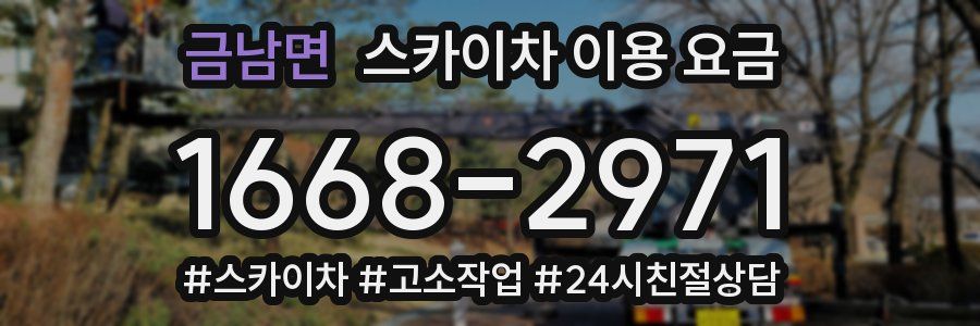 금남면 스카이차 이용 요금