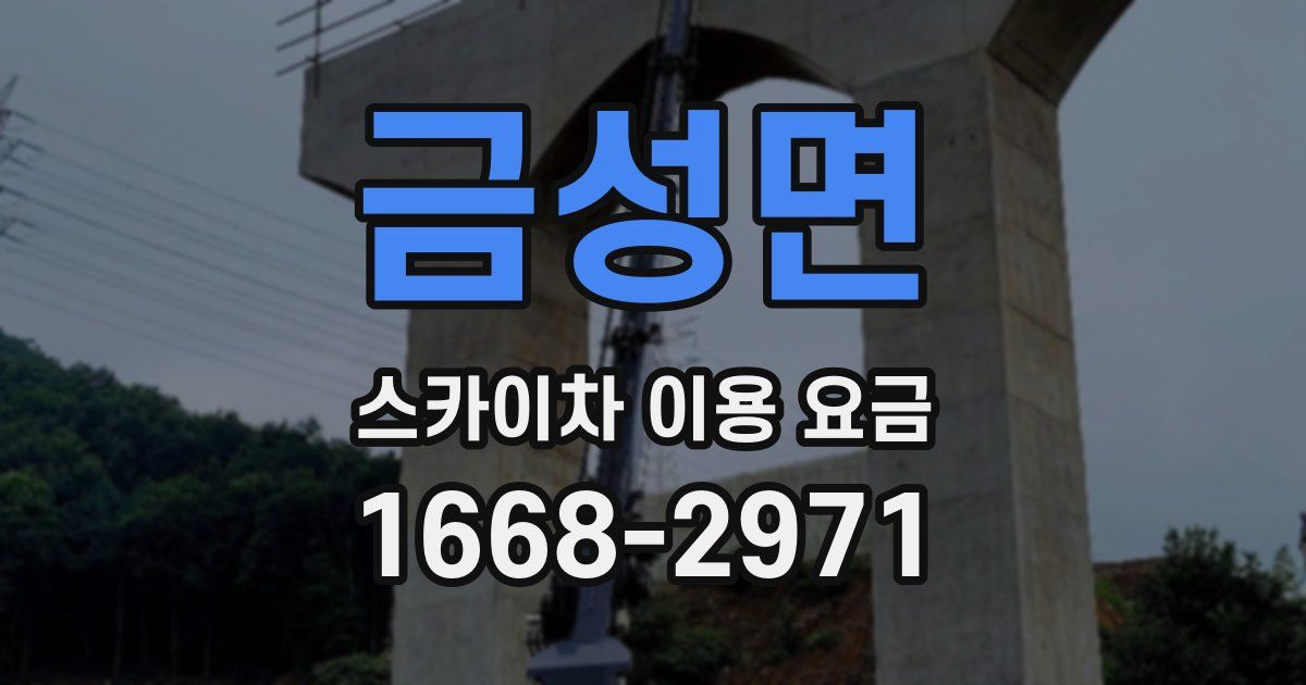 금성면 스카이차 이용 요금