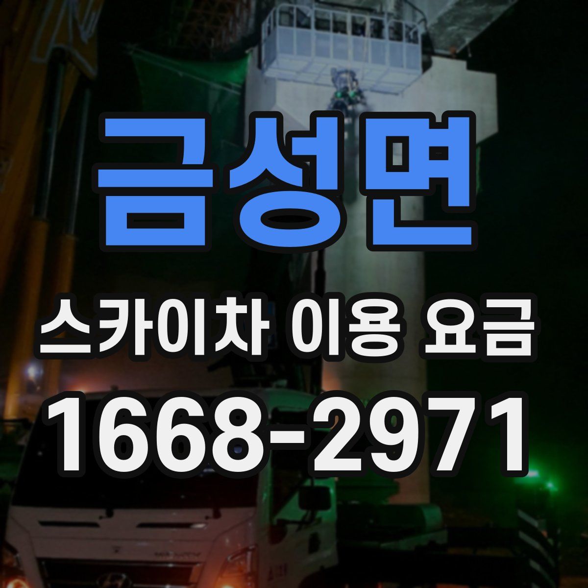 금성면 스카이차 이용 요금