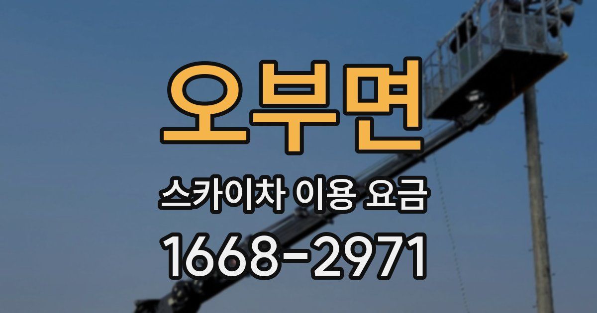 오부면 스카이차 이용 요금