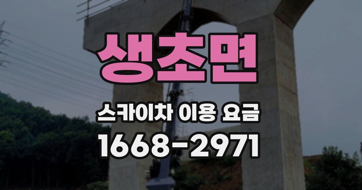 생초면 스카이차 이용 요금