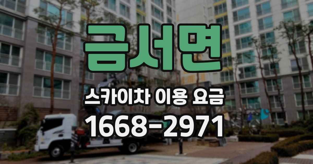금서면 스카이차 이용 요금