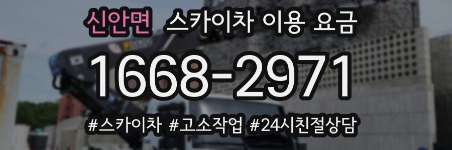 신안면 스카이차 이용 요금