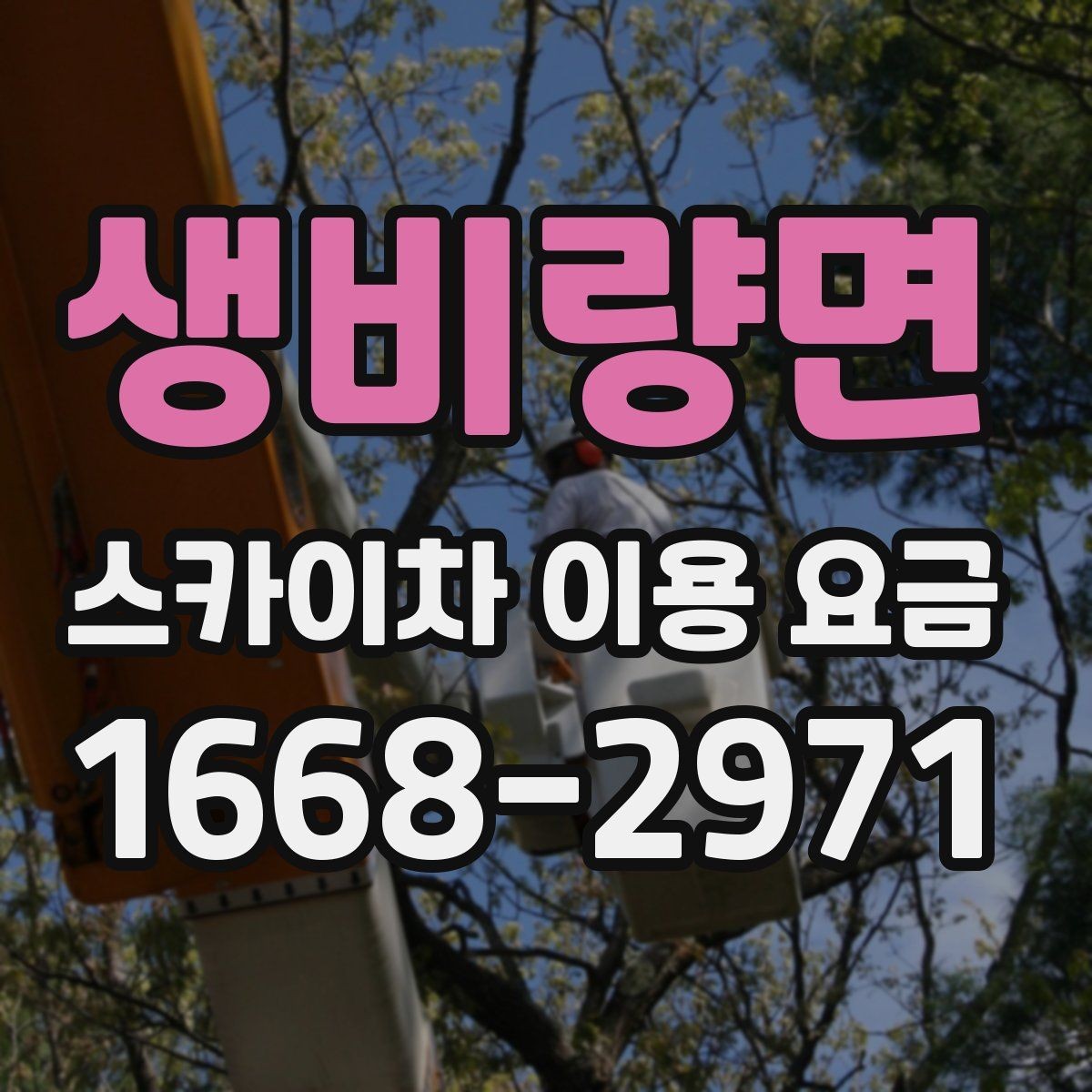 생비량면 스카이차 이용 요금 산정 기준을 이해하는 방법