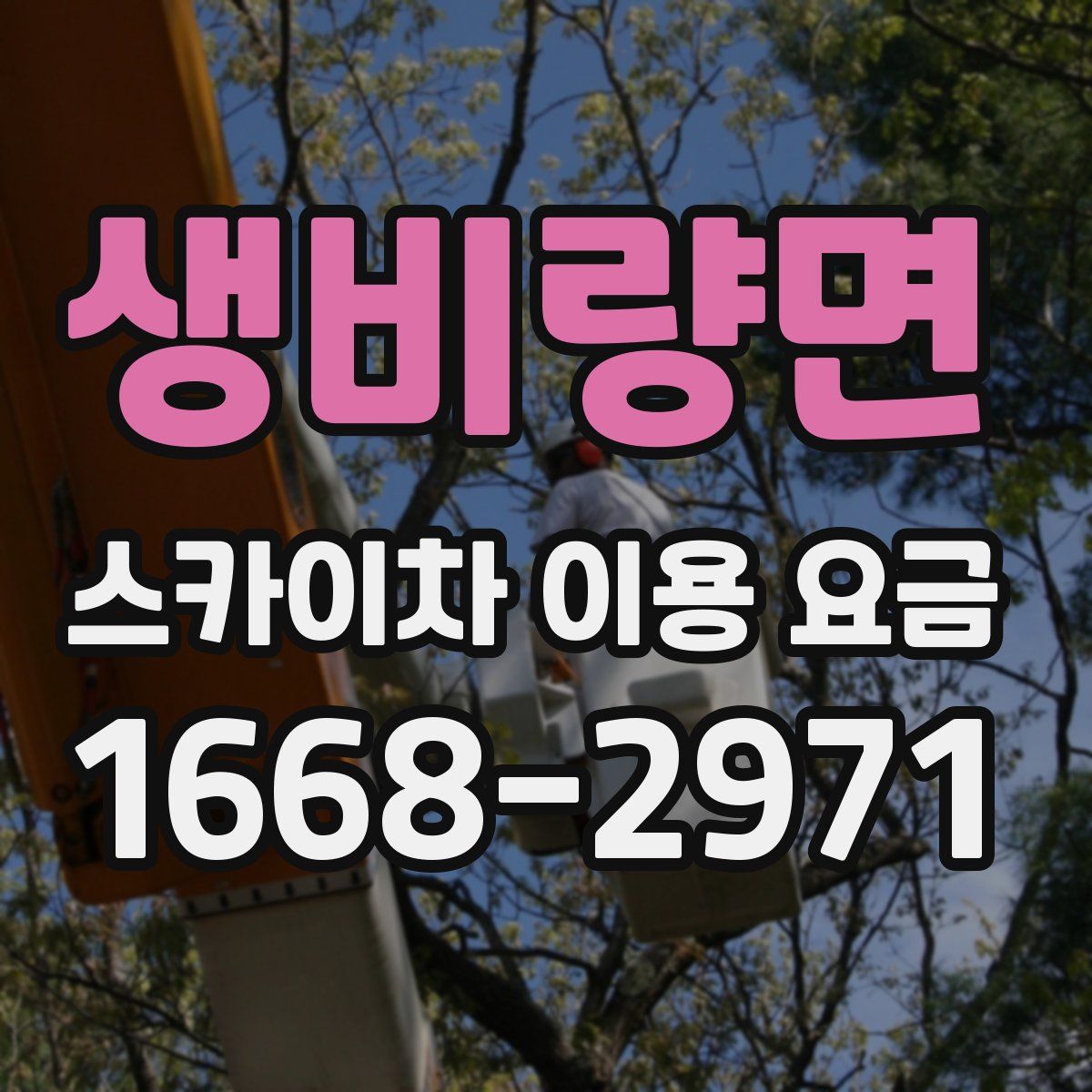 생비량면 스카이차 이용 요금