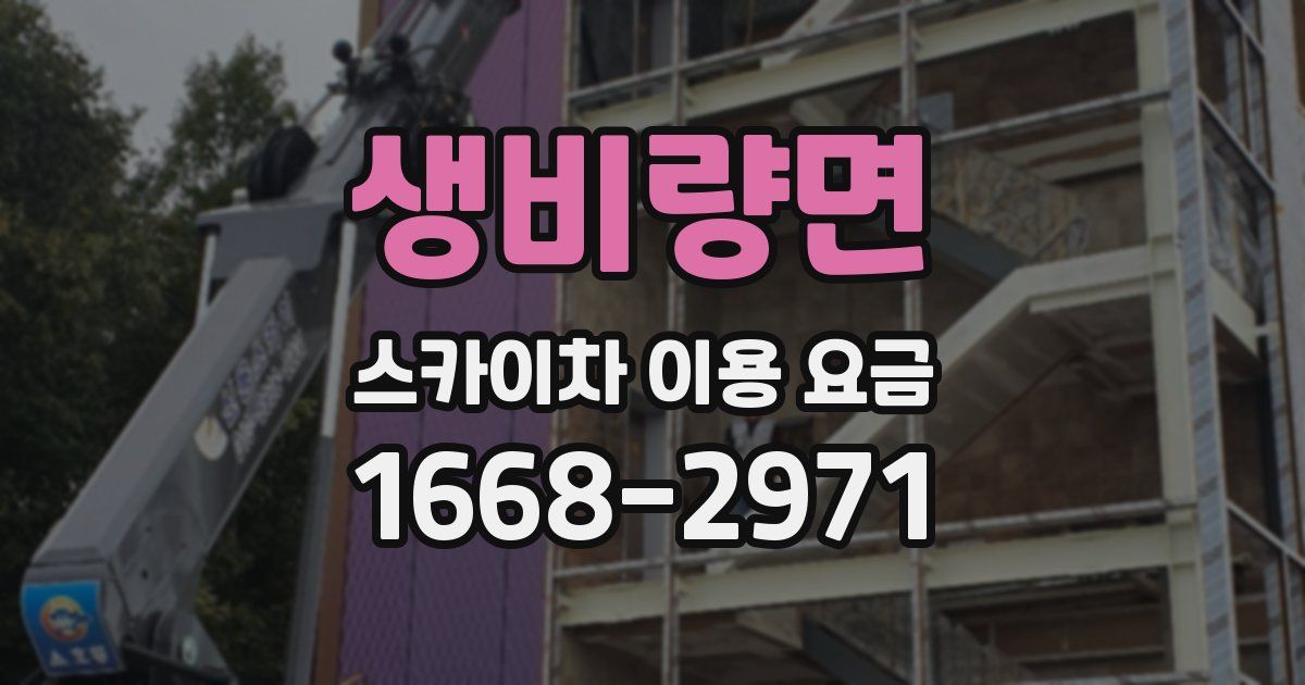 생비량면 스카이차 이용 요금