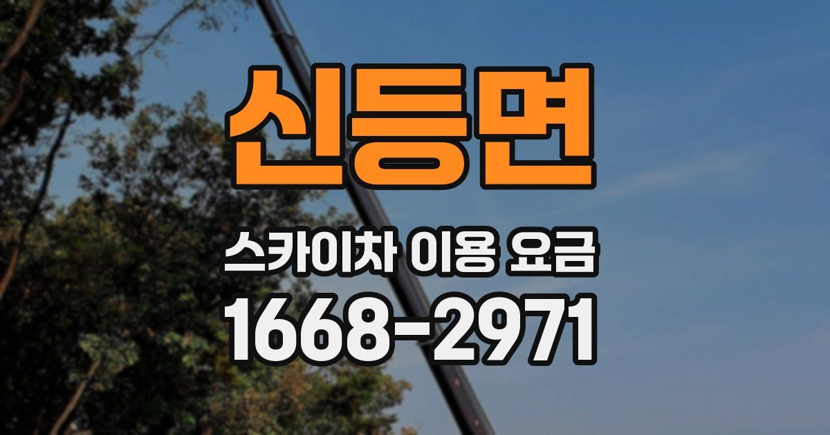 신등면 스카이차 이용 요금