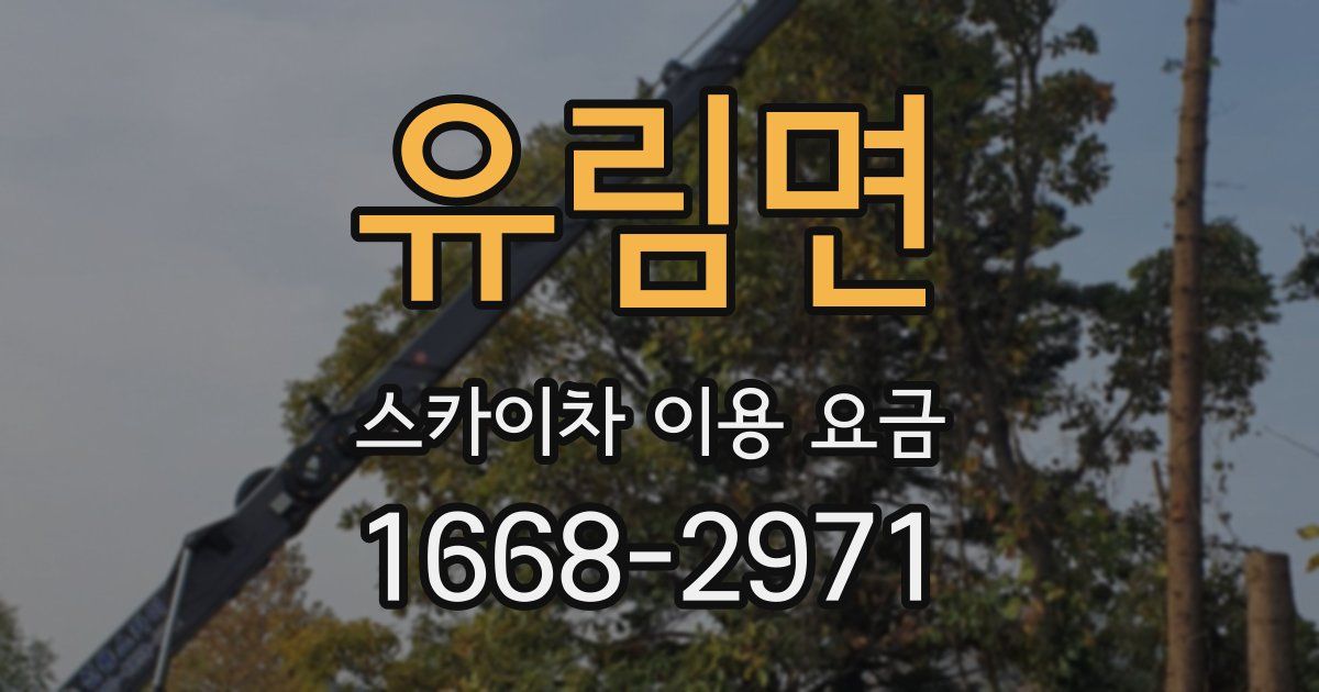 유림면 스카이차 이용 요금