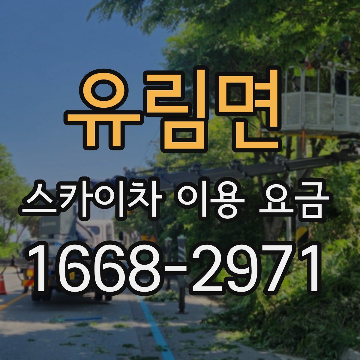 유림면 스카이차 이용 요금