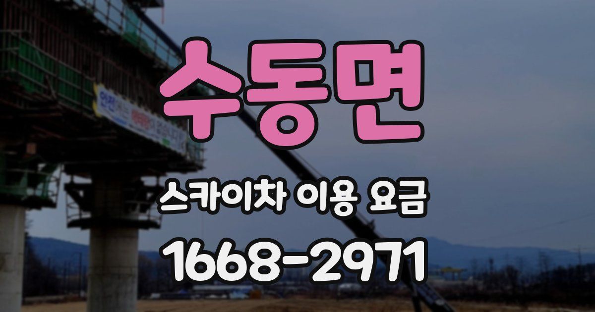 수동면 스카이차 이용 요금