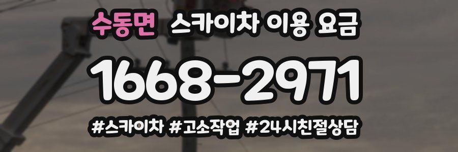수동면 스카이차 이용 요금