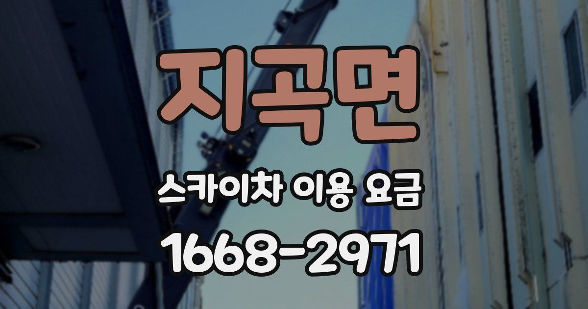 지곡면 스카이차 이용 요금