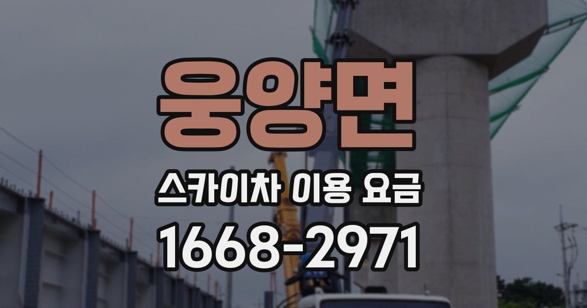 웅양면 스카이차 이용 요금