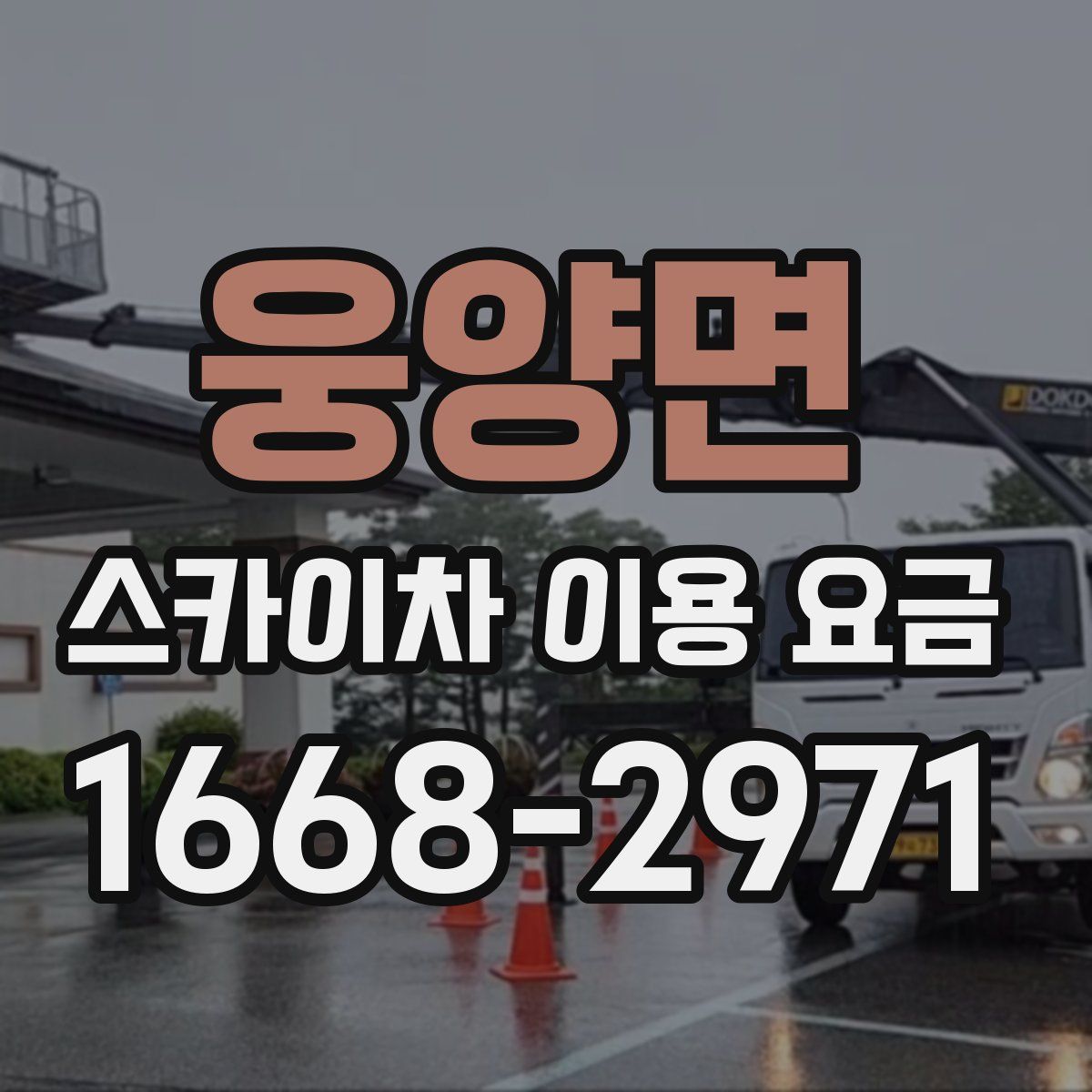 웅양면 스카이차 이용 요금