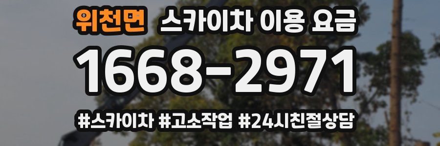 위천면 스카이차 이용 요금