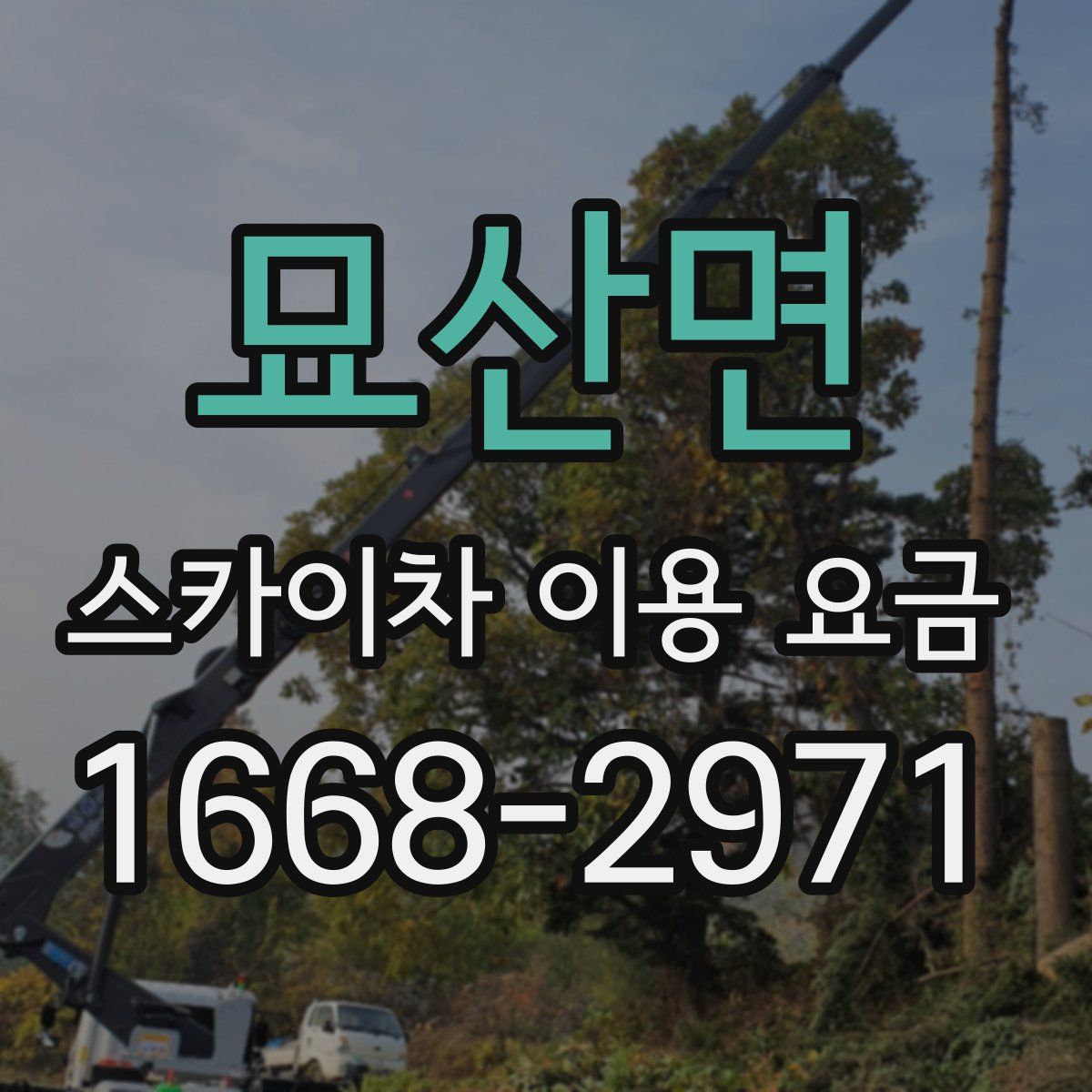 묘산면 스카이차 이용 요금