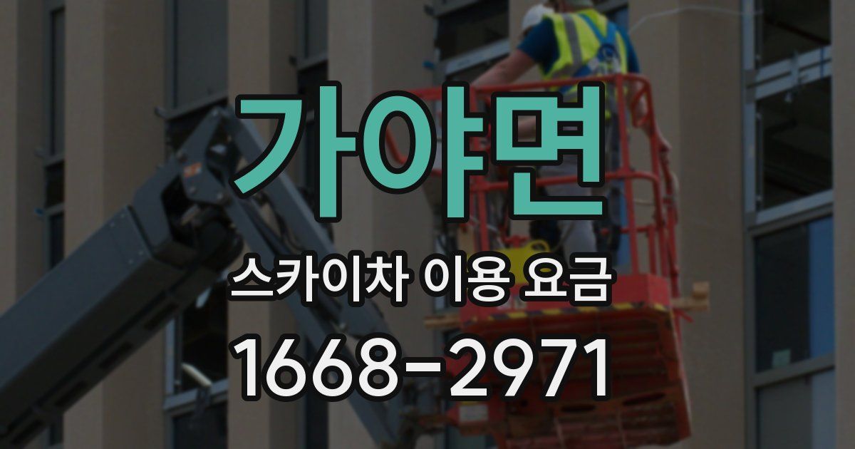 가야면 스카이차 이용 요금