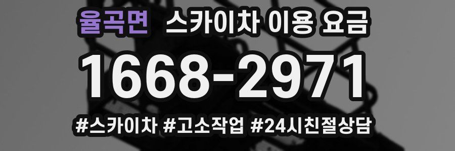 율곡면 스카이차 이용 요금