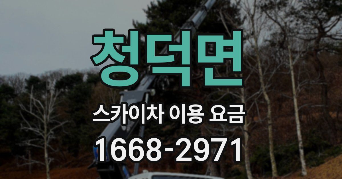 청덕면 스카이차 이용 요금