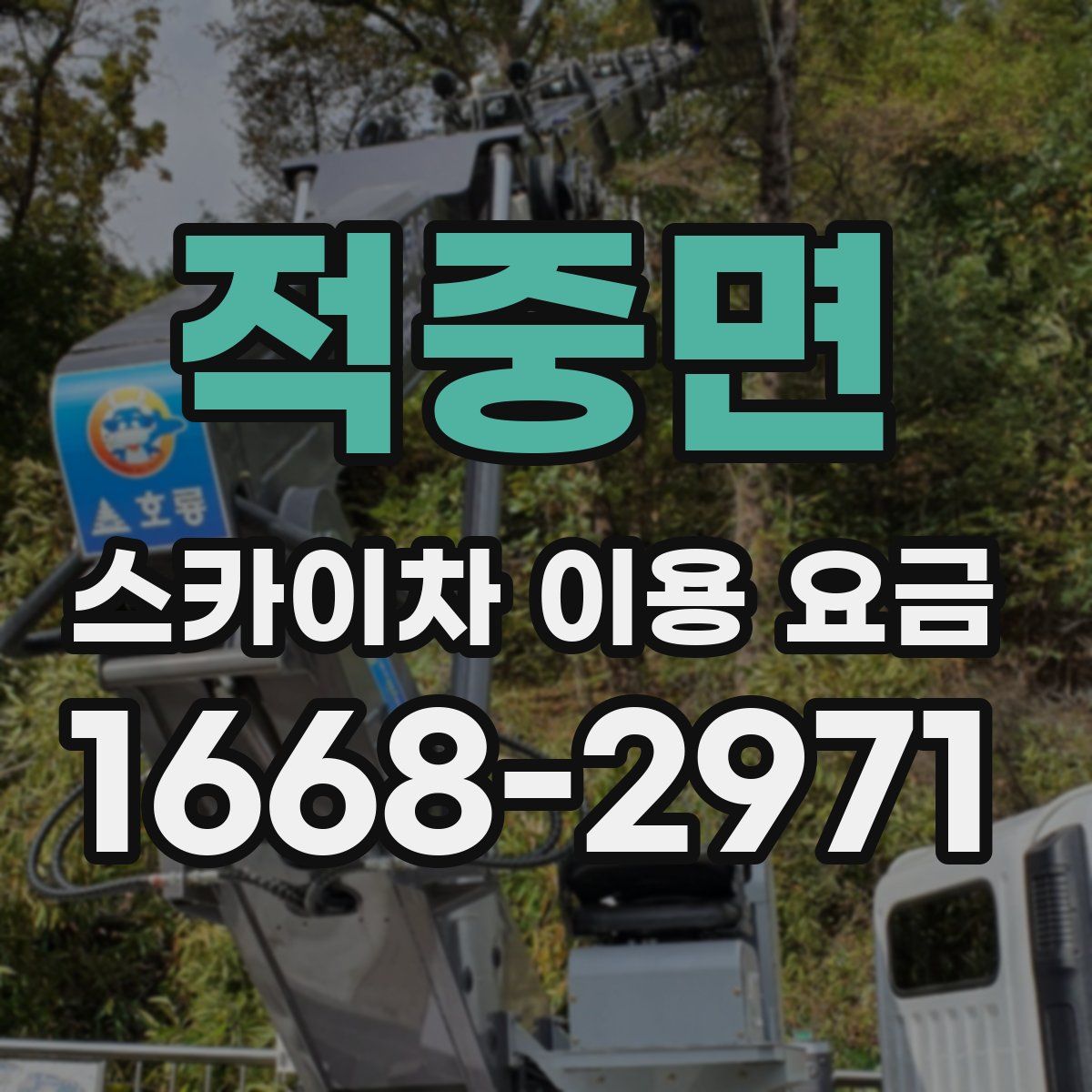 적중면 스카이차 이용 요금