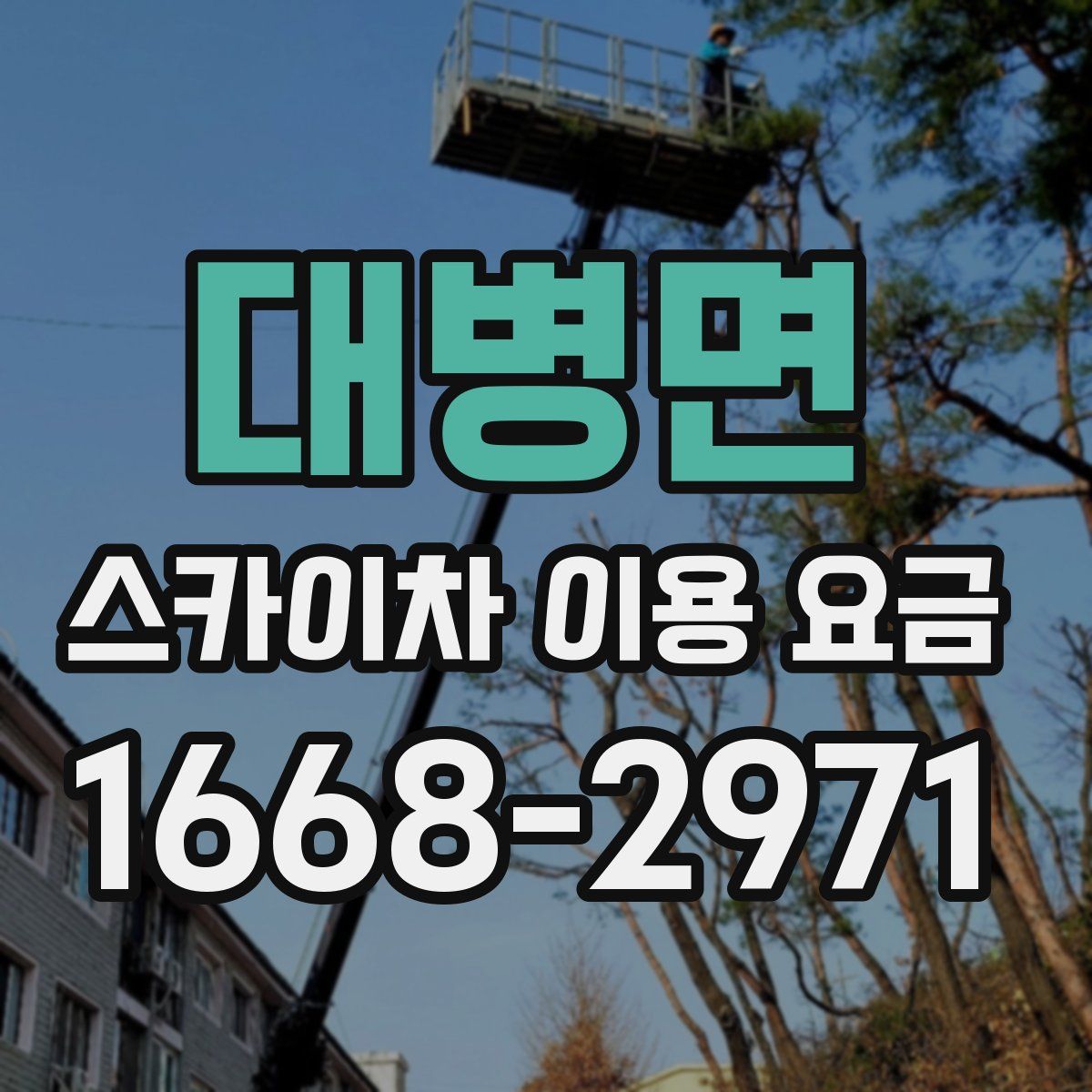 대병면 스카이차 이용 요금