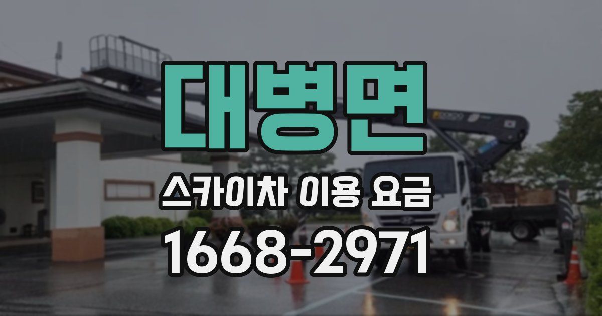 대병면 스카이차 이용 요금
