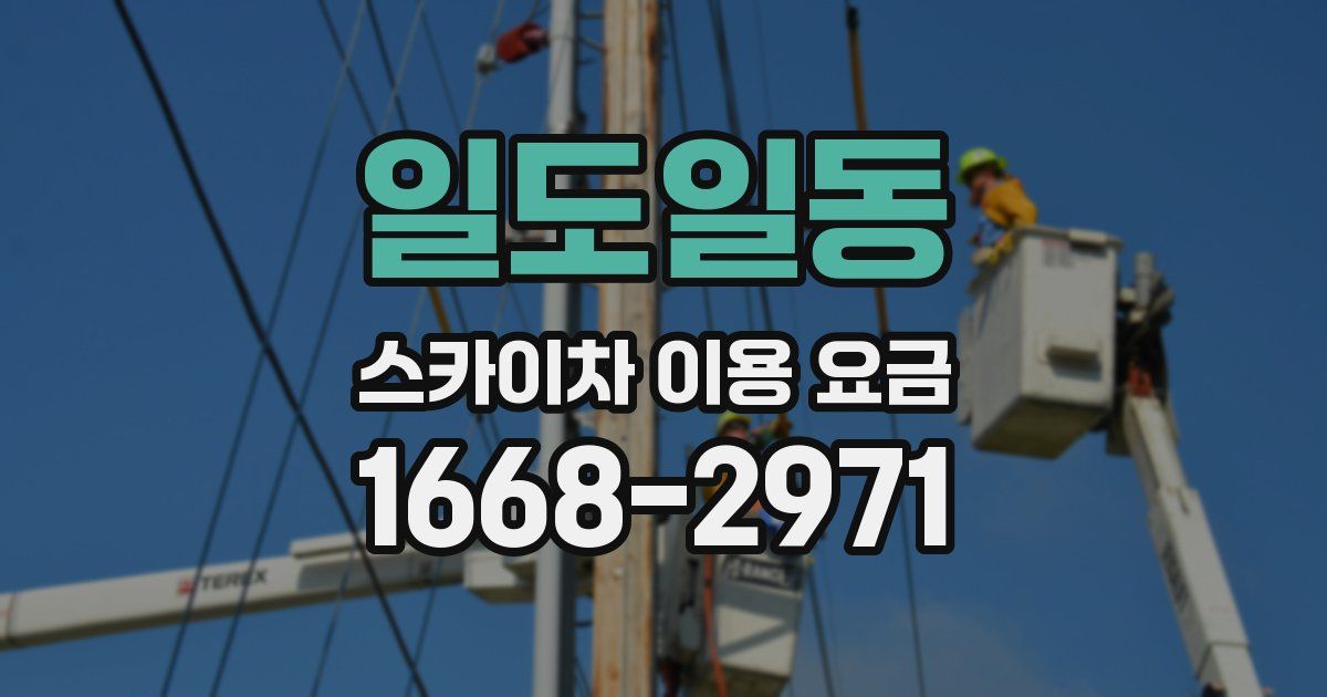 일도일동 스카이차 이용 요금