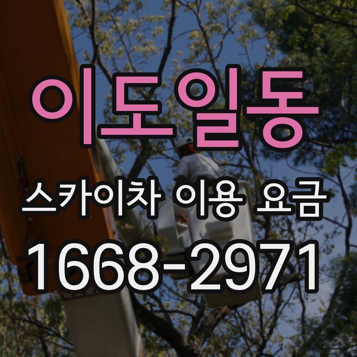 이도일동 스카이차 이용 요금