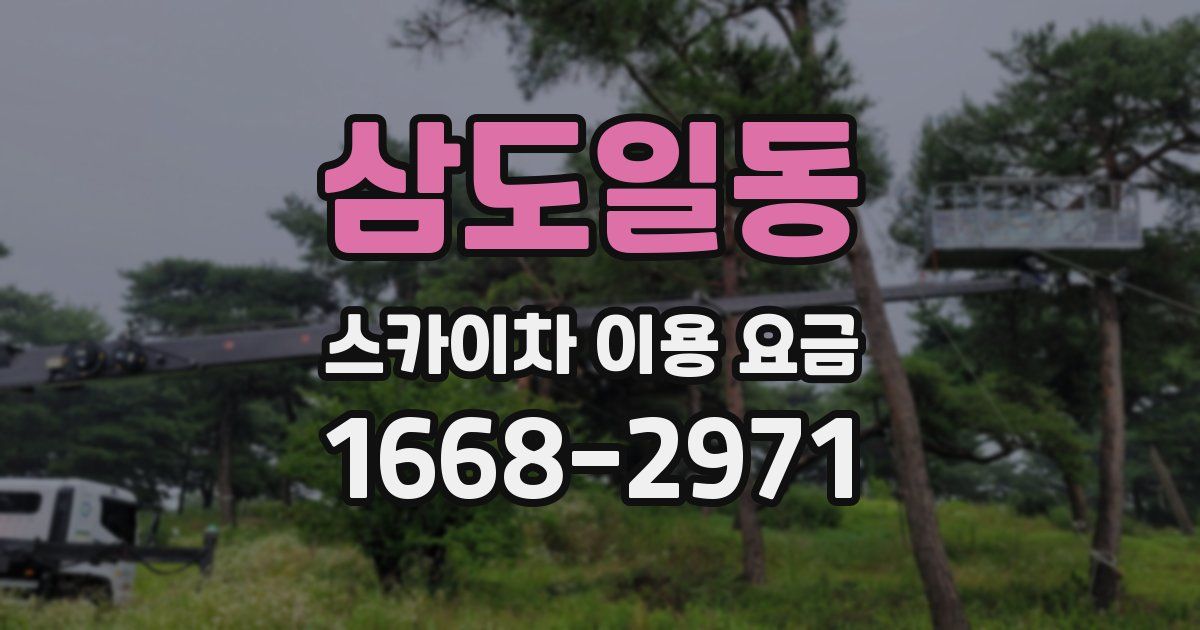 삼도일동 스카이차 이용 요금