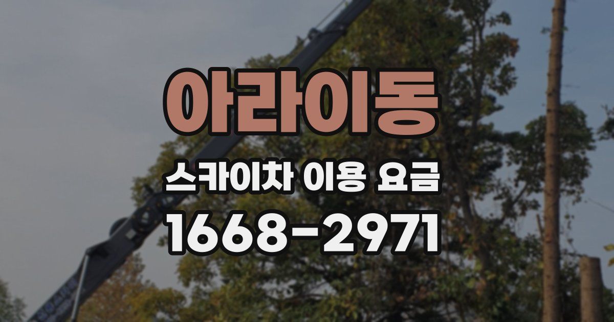 아라이동 스카이차 이용 요금