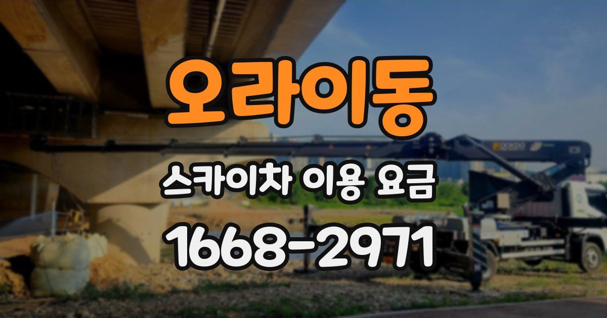 오라이동 스카이차 이용 요금