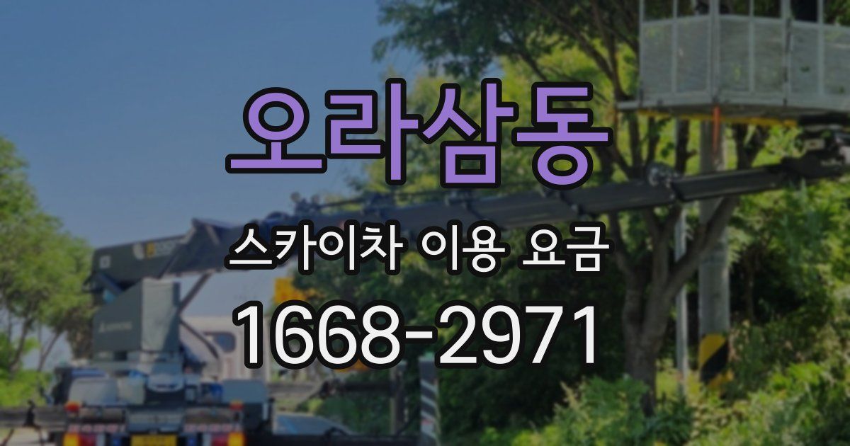 오라삼동 스카이차 이용 요금