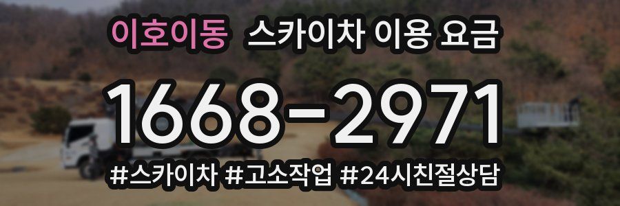 이호이동 스카이차 이용 요금