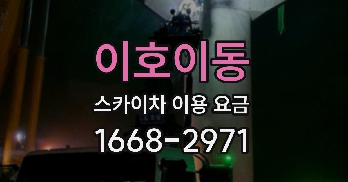 이호이동 스카이차 이용 요금