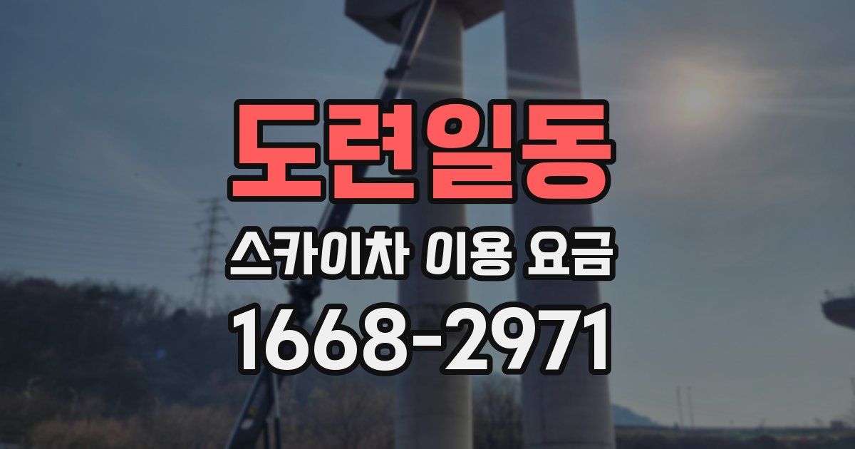 도련일동 스카이차 이용 요금