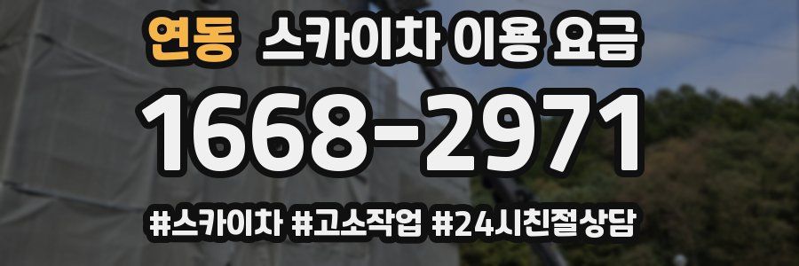 연동 스카이차 이용 요금