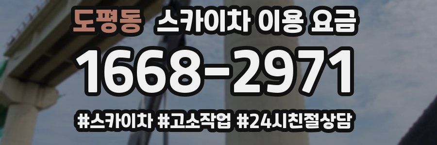 도평동 스카이차 이용 요금