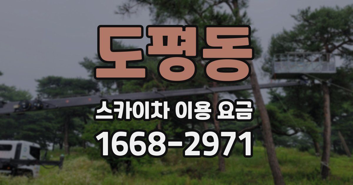 도평동 스카이차 이용 요금