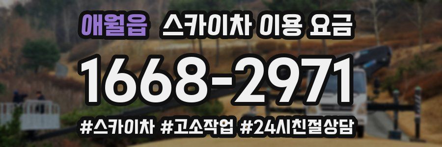 애월읍 스카이차 이용 요금