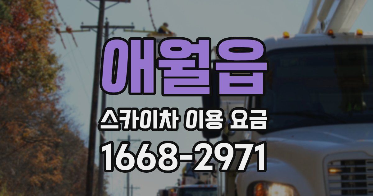 애월읍 스카이차 이용 요금