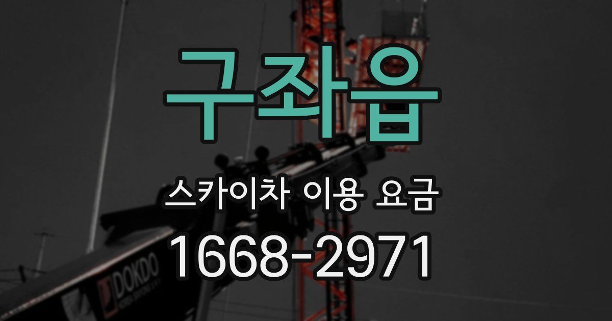 구좌읍 스카이차 이용 요금