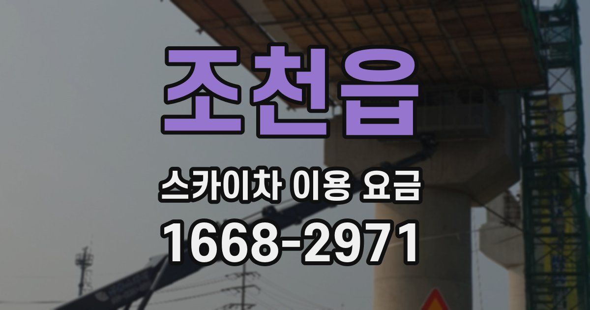 조천읍 스카이차 이용 요금