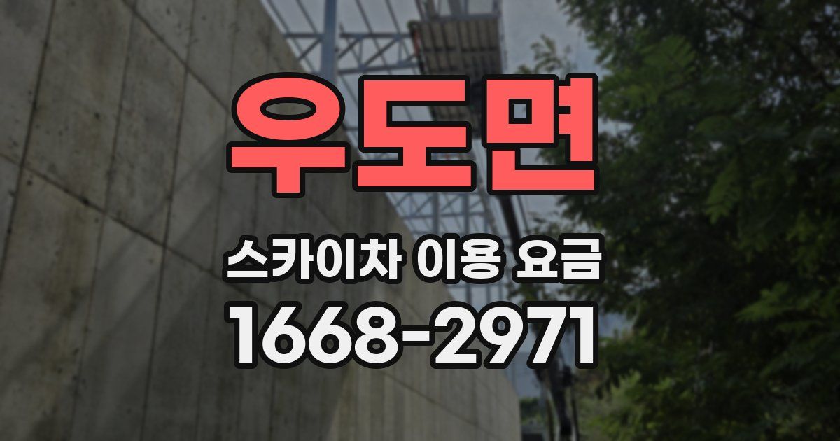 우도면 스카이차 이용 요금