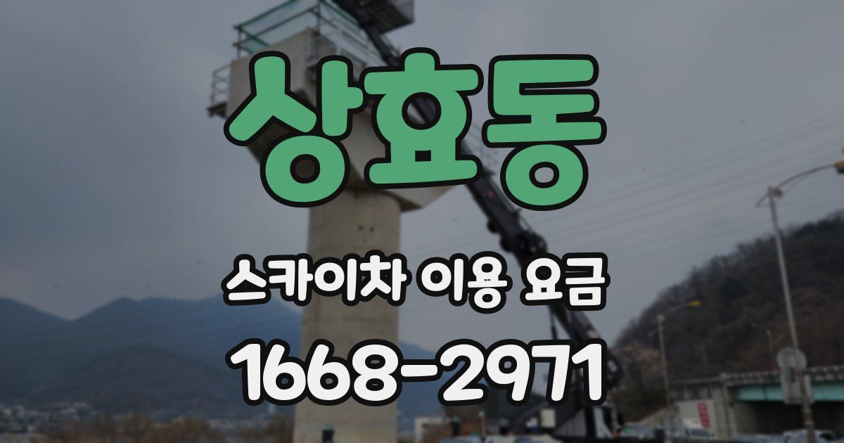 상효동 스카이차 이용 요금
